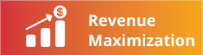Revenue Maximization